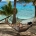 A man relaxes in a hammock with his baseball cap over his eyes. He's being held up by palm trees on a beautiful ocean beach